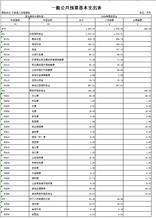 6一般公共预算基本支出表.png